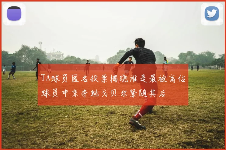 TA球员匿名投票揭晓谁是最被高估球员申京夺魁戈贝尔紧随其后