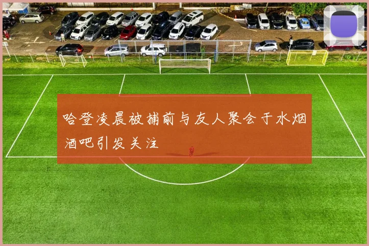 哈登凌晨被捕前与友人聚会于水烟酒吧引发关注