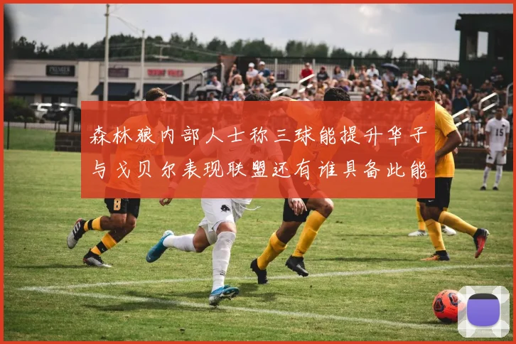 森林狼内部人士称三球能提升华子与戈贝尔表现联盟还有谁具备此能力