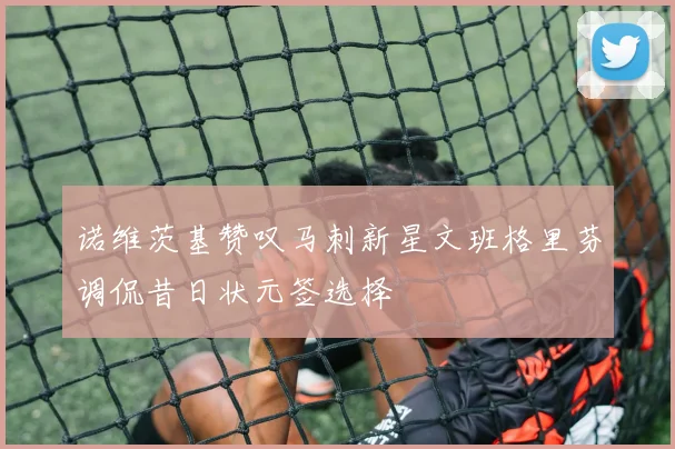 诺维茨基赞叹马刺新星文班格里芬调侃昔日状元签选择