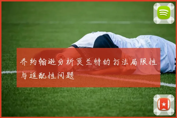 乔约翰逊分析莫兰特的打法局限性与适配性问题